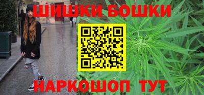 МДПВ Пушкино