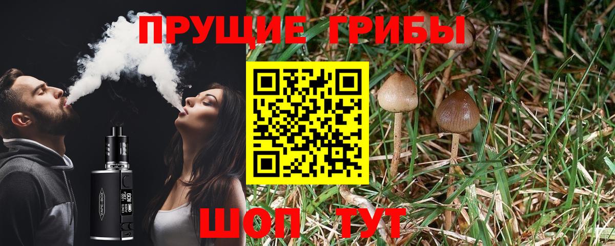 Галлюциногенные грибы GOLDEN TEACHER  Галлюциногенные грибы Psilocybine cubensis  Симферополь  Вход с VPN 