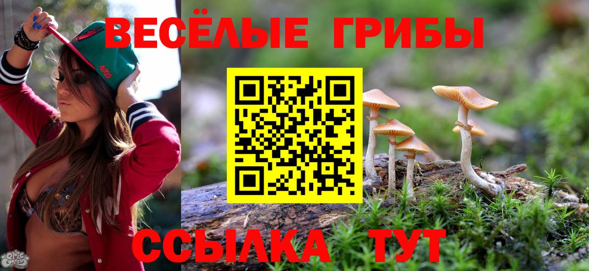 Галлюциногенные грибы MAGIC MUSHROOMS Симферополь